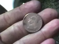 quarter.webp