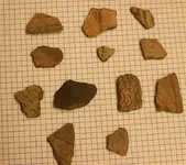 pottery lot.webp