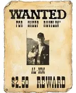 wantedposter1.webp