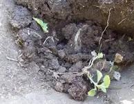 100_0146.webp