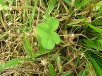 DSCN0755.webp