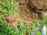 DSCN0759.webp