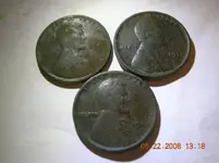 DSCN0775.webp