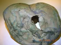 DSCN0780.webp
