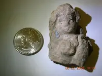 DSCN0789.webp