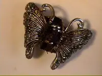 April13-2008butterfly.webp