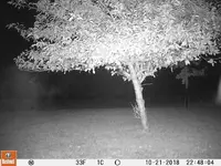 ghost.webp