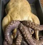 20171016_180142.webp
