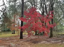 20181202_165220.webp