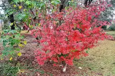 20181202_165250.webp