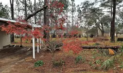 20181202_165846.webp