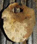 DSCF7436 (2).webp