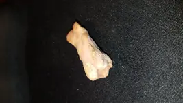 20181022_175723.webp