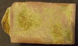 DSCF7484 (2).webp