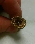 Stickpin1.webp