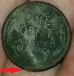 Penny.webp