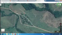 genipapo-a1.webp