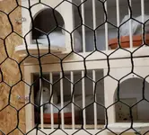 20181203_132518.webp