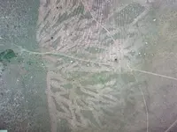 100_0296.webp