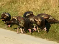 trip 102218 7.webp