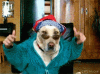 81f5769c09db15991985b01283095a91.gif 81f5769c09db15991985b01283095a91.gif