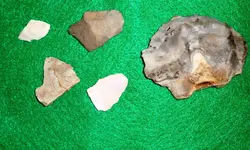 DSC00972.webp