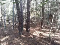 0104.webp