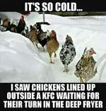 026e5775764ae683a4fbb4803e1ebc22.webp