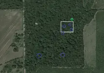 TnetBuck8point-a1_4-11-18.webp