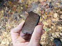 Tday pottery shard 2018.webp