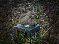 DSCN2404.webp