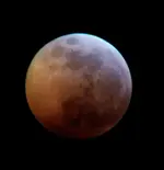 20190121_093318.webp