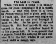 The Lost is Found.webp