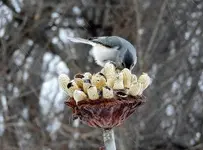 K1600_DSCN2731.webp
