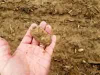 20180219_140745.webp