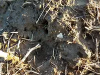 20180226_173829.webp