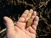 20180226_173848.webp