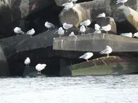 DSCN7924.webp