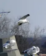 DSCN7989.webp