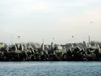 DSCN8006.webp