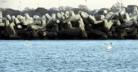 DSCN8023.webp