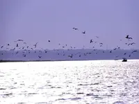 DSCN8030.webp