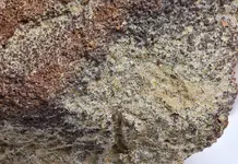 sandstone va4.webp