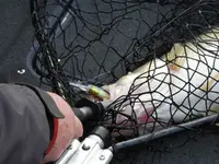 DSCN8037.webp