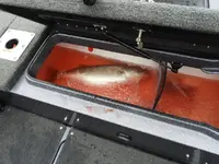 DSCN8049.webp