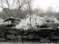 DSCN8058.webp