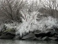 DSCN8063.webp