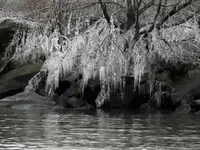 DSCN8065.webp