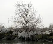 DSCN8066.webp DSCN8066.webp