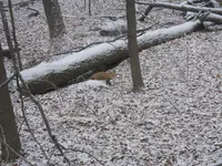 DSCN3766.webp